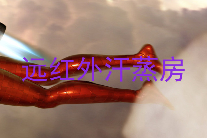 远红外汗蒸房