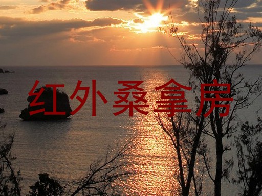 红外桑拿房