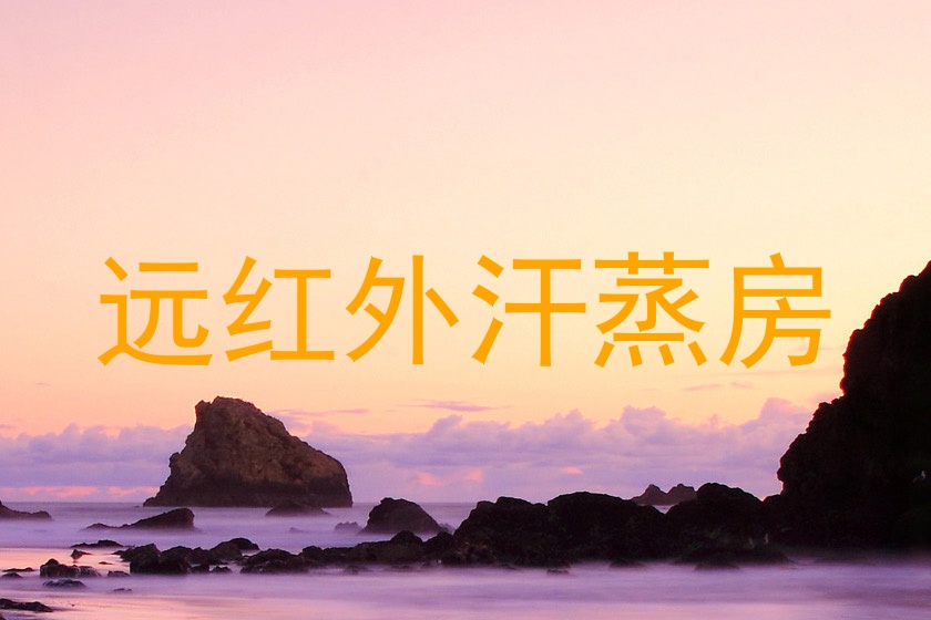 远红外汗蒸房