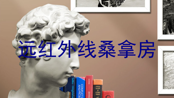 远红外线桑拿房