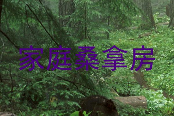 家庭桑拿房