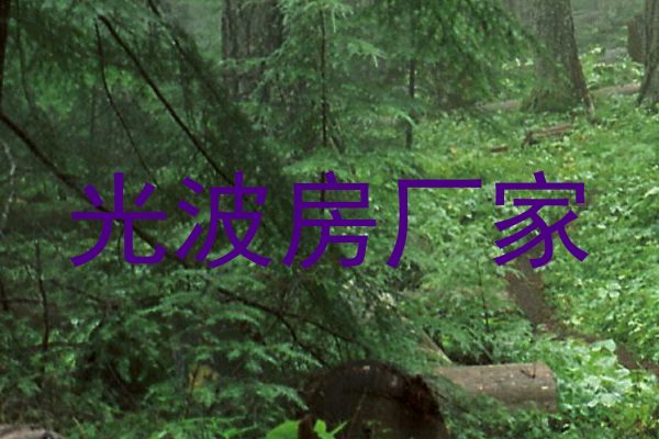 光波房厂家