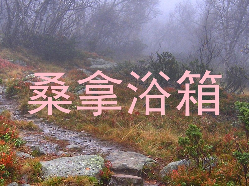 桑拿浴箱