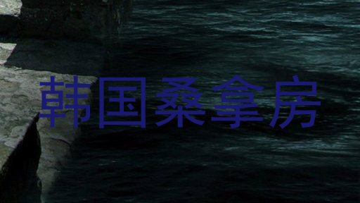 韩国桑拿房