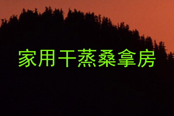 家用干蒸桑拿房