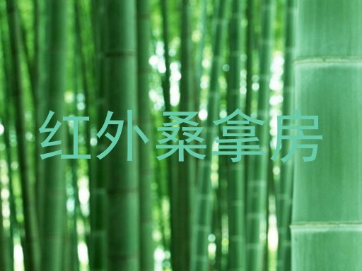 红外桑拿房