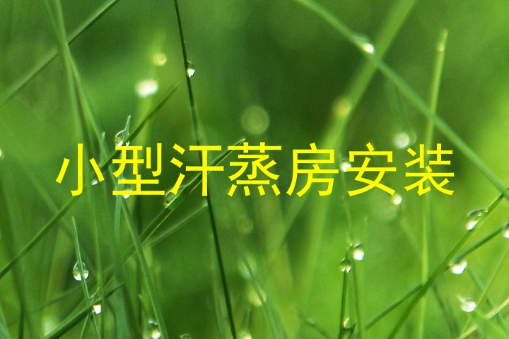 小型汗蒸房安装