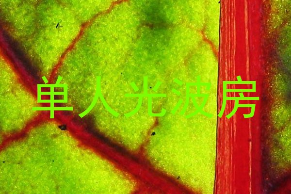 单人光波房