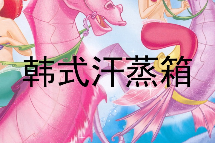 韩式汗蒸箱