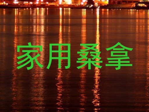 家用桑拿