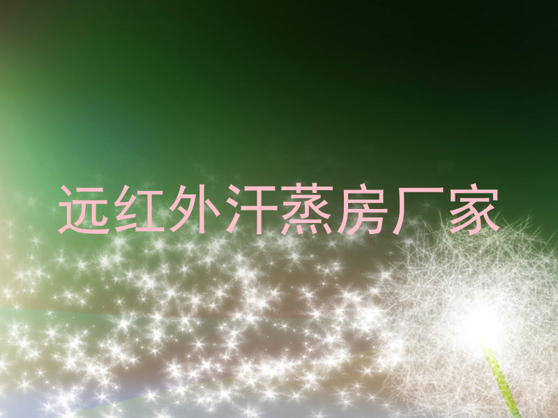 远红外汗蒸房厂家