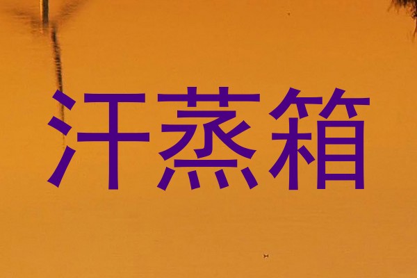 汗蒸箱