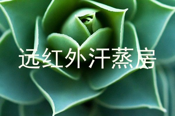 远红外汗蒸房