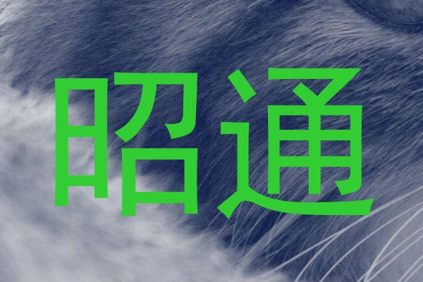 昭通