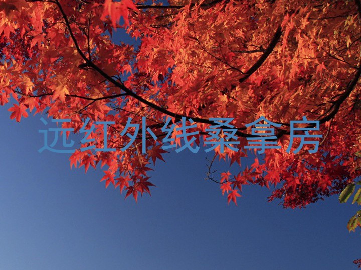 远红外线桑拿房