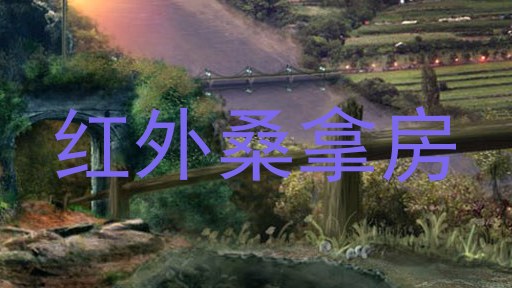 红外桑拿房
