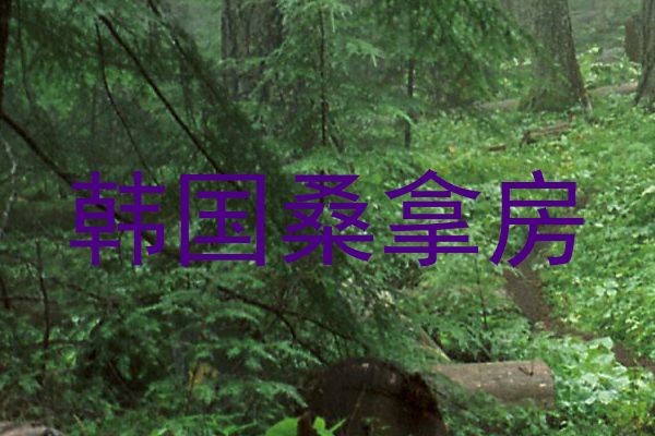韩国桑拿房
