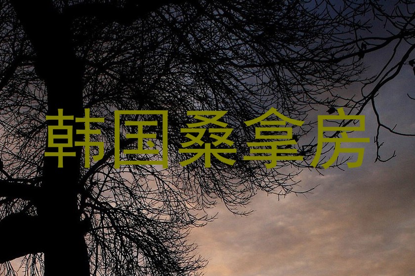 韩国桑拿房
