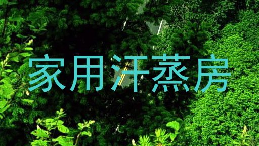 家用汗蒸房