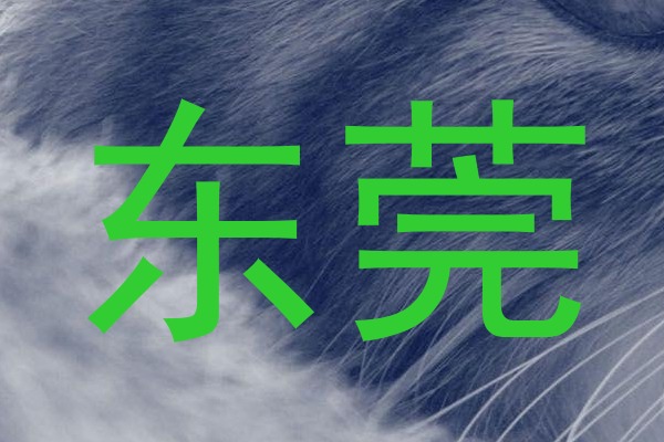 东莞
