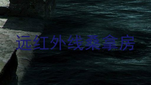 远红外线桑拿房