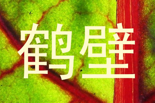 鹤壁