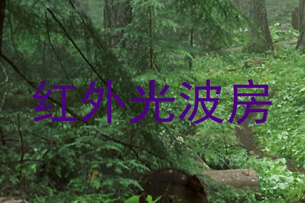 红外光波房