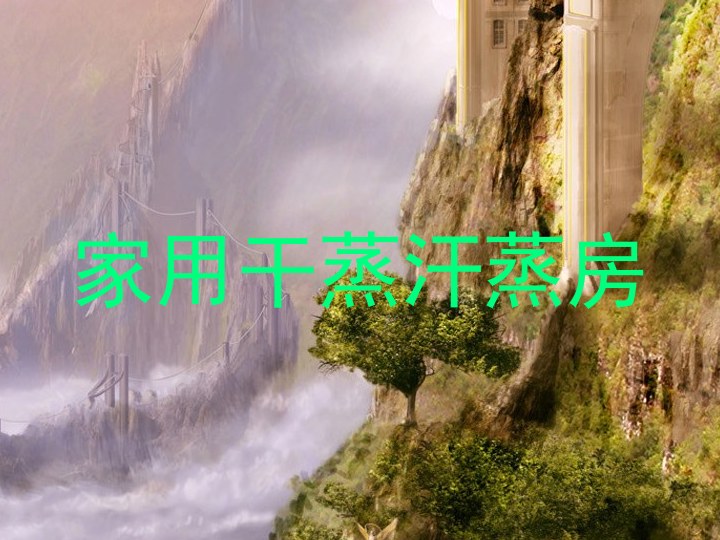 家用干蒸汗蒸房