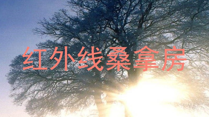 红外线桑拿房