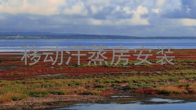 移动汗蒸房安装