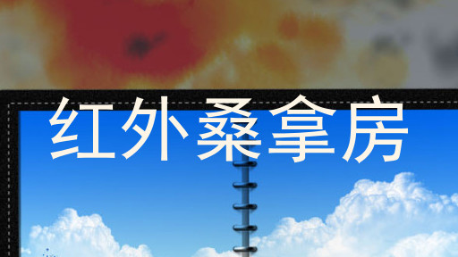 红外桑拿房