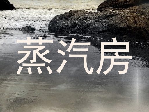 蒸汽房