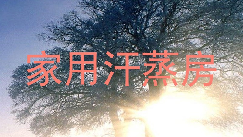 家用汗蒸房
