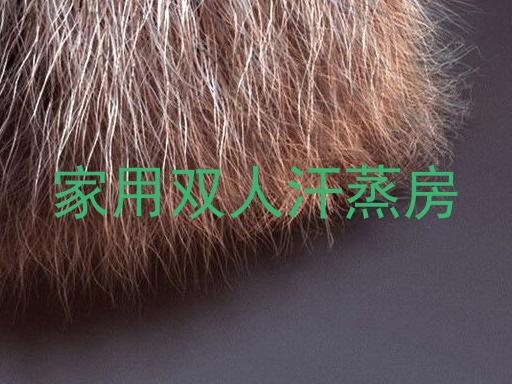 家用双人汗蒸房
