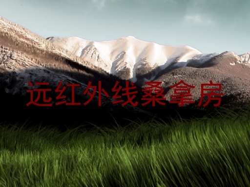 远红外线桑拿房