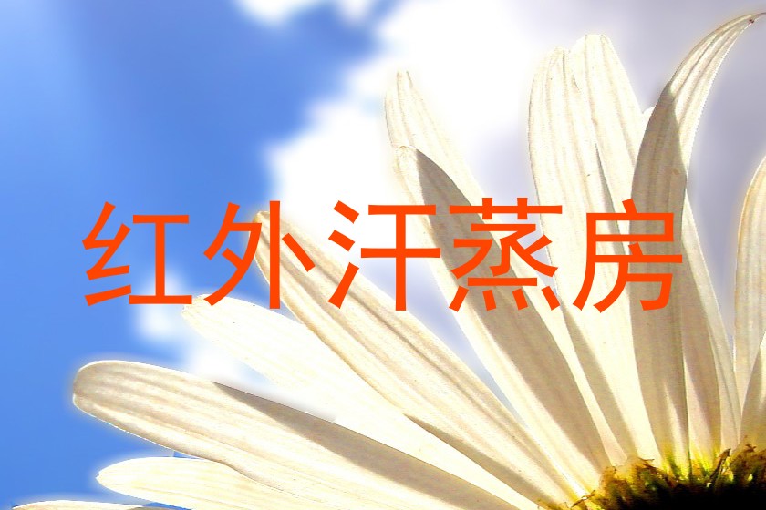 红外汗蒸房