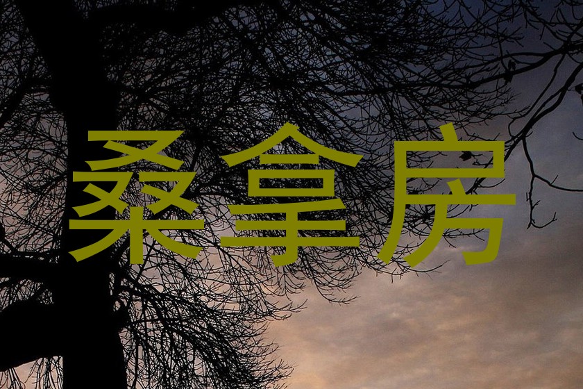 桑拿房