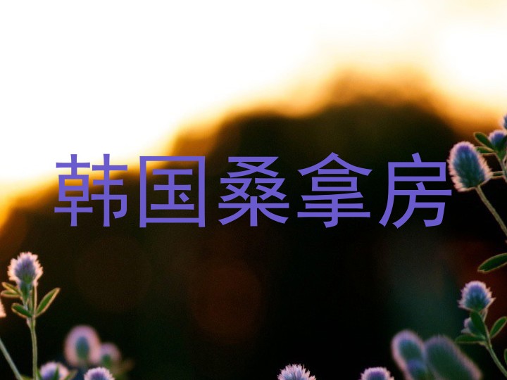 韩国桑拿房