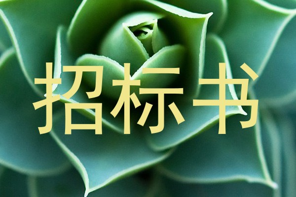 招标书