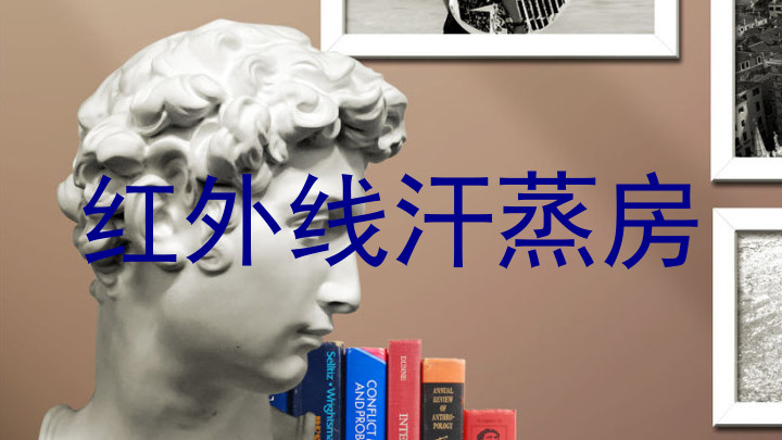 红外线汗蒸房