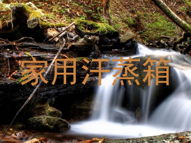 家用汗蒸箱