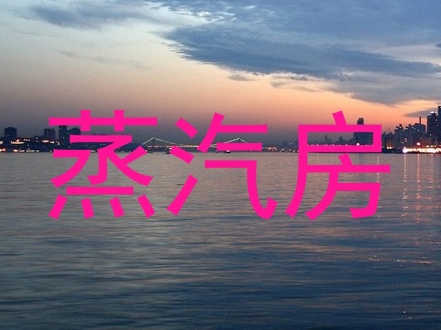 蒸汽房