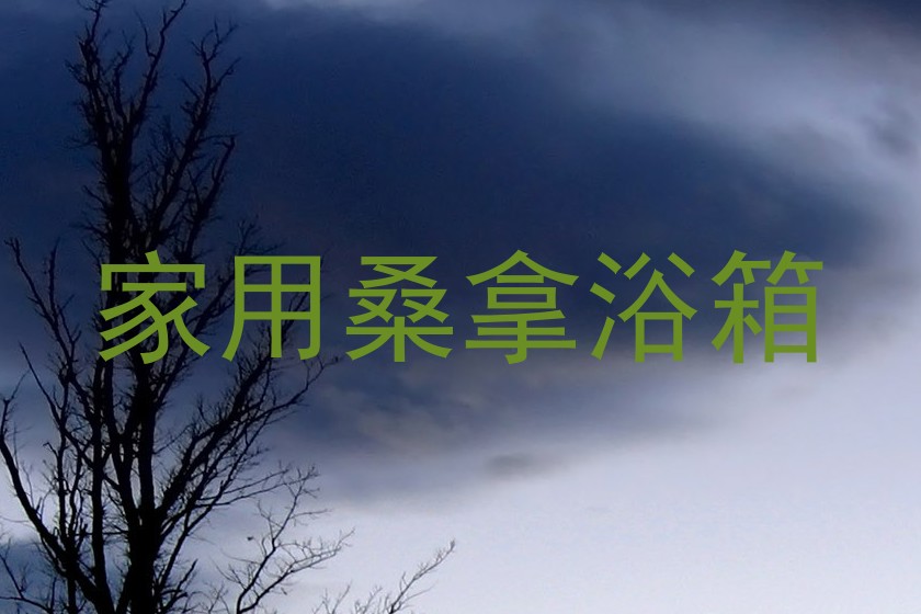 家用桑拿浴箱