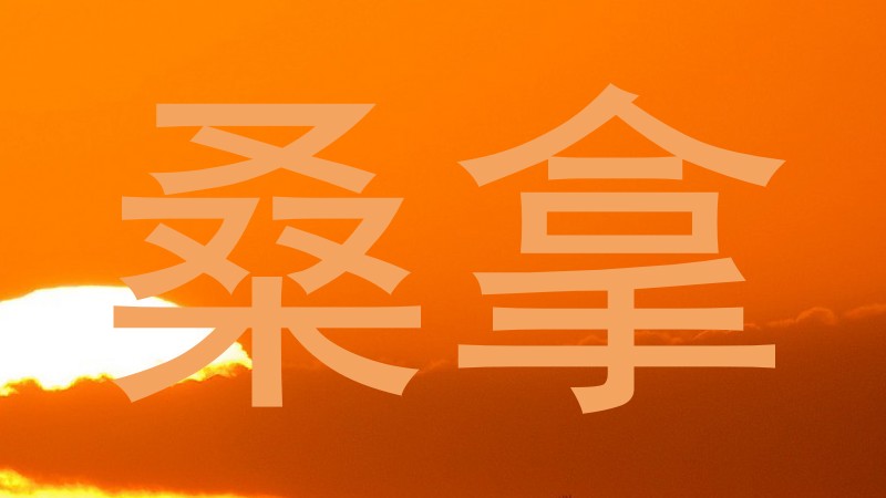 桑拿