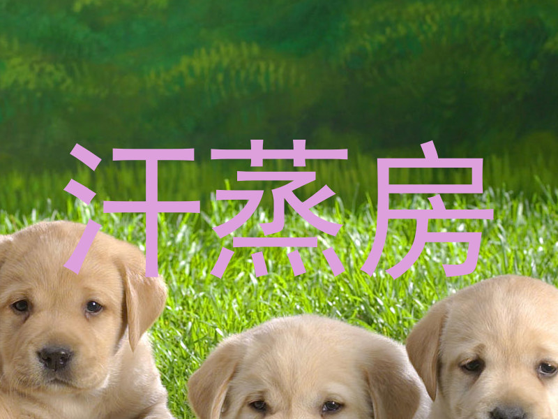 汗蒸房