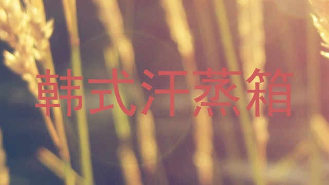 韩式汗蒸箱