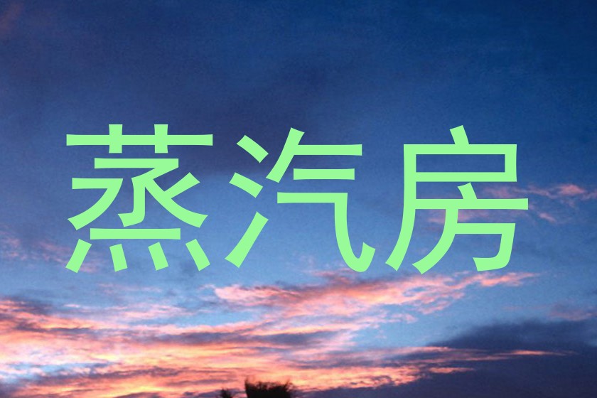 蒸汽房