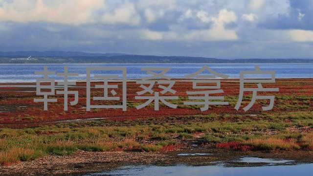 韩国桑拿房