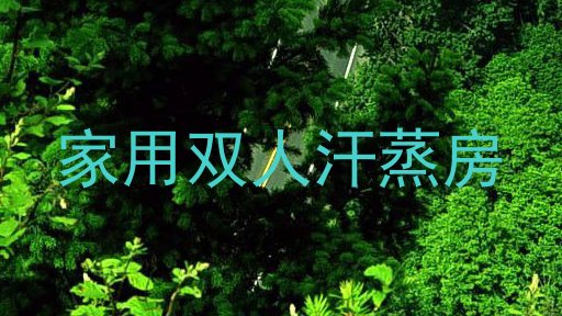 家用双人汗蒸房