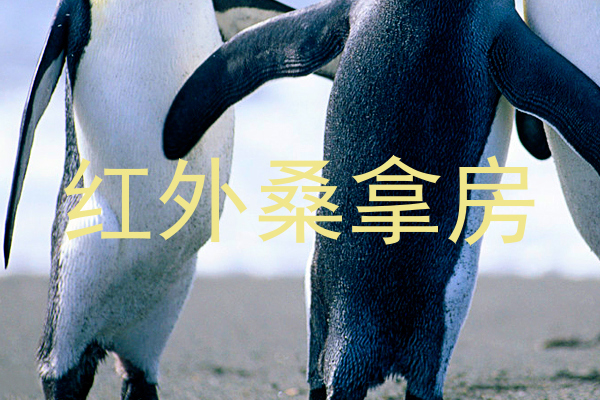 红外桑拿房